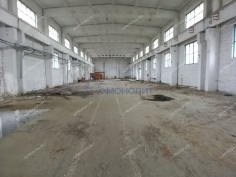 gorod-bor-gorodskoy-okrug-bor фото