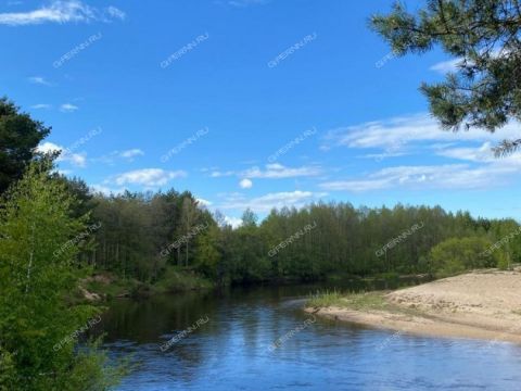 snt-zelenyy-mys-gorodskoy-okrug-bor фото