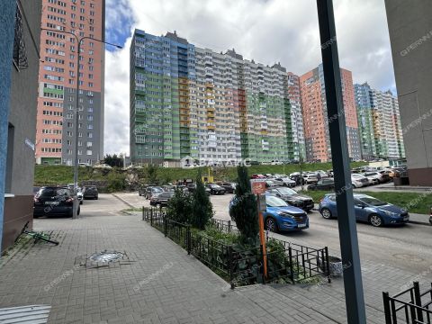 1-komnatnaya-derevnya-afonino-kstovskiy-rayon фото