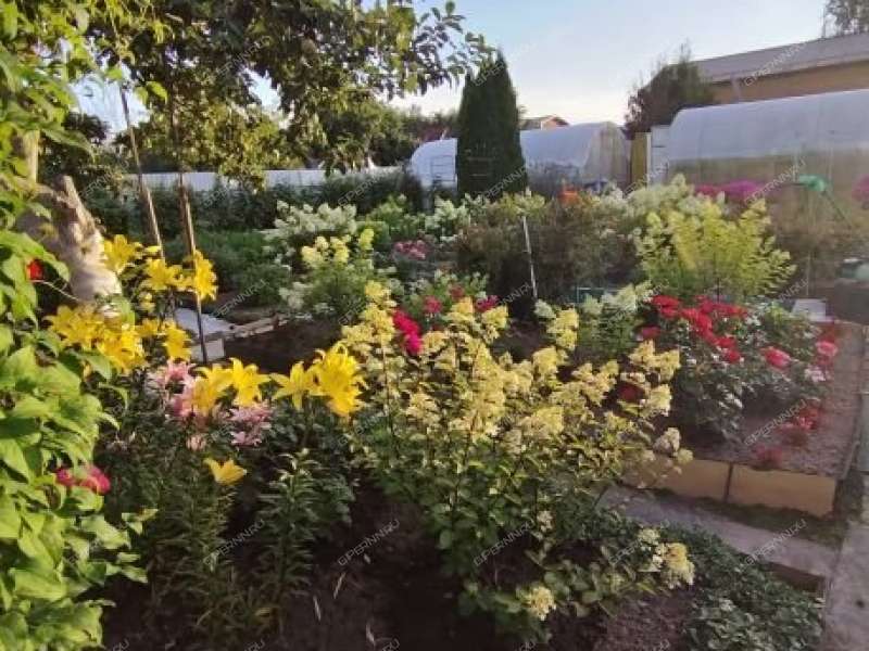 дача на СНТ Надежда