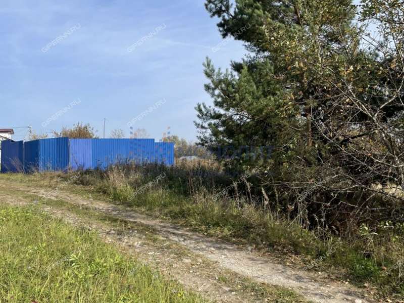 земельный участок 10 соток Центральная улица деревня Криуша