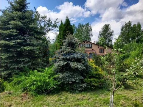 dom-derevnya-shehonka-gorodskoy-okrug-bor фото