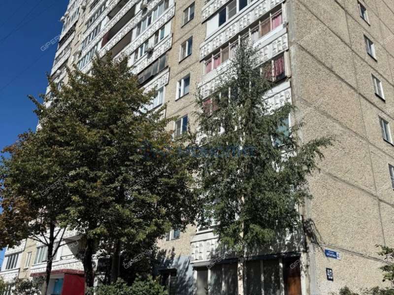 двухкомнатная квартира на проспекте Бусыгина дом 48
