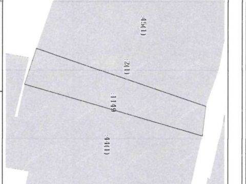 selo-ostankino-gorodskoy-okrug-bor фото