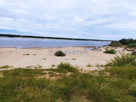 rabochiy-poselok-maloe-kozino-balahninskiy-municipalnyy-okrug фото