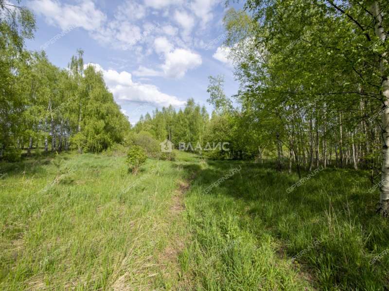 земельный участок 18 соток Овражная улица деревня Майдан