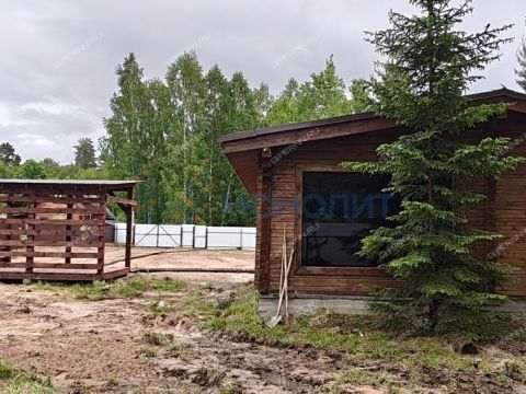 dom-derevnya-pokrovskoe-semenovskiy-gorodskoy-okrug фото