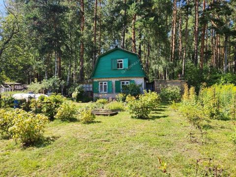 dacha-poselok-sitniki-gorodskoy-okrug-bor фото