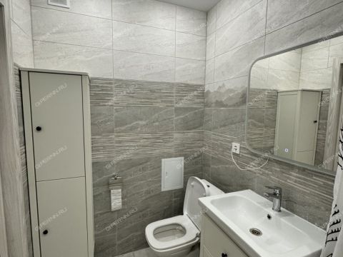 1-komnatnaya-derevnya-afonino-kstovskiy-rayon фото