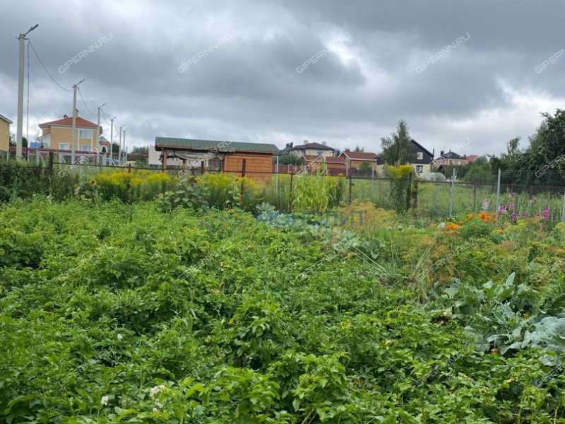 дом на Центральной улице