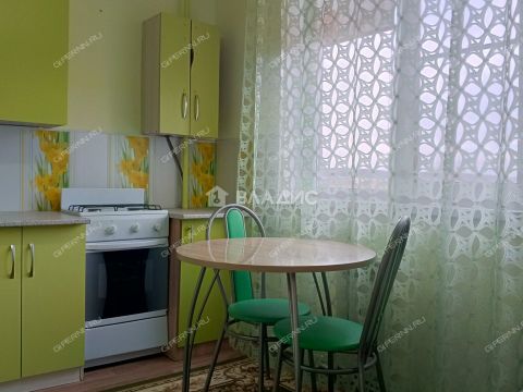 1-komnatnaya-derevnya-berezovka-bogorodskiy-municipalnyy-okrug фото