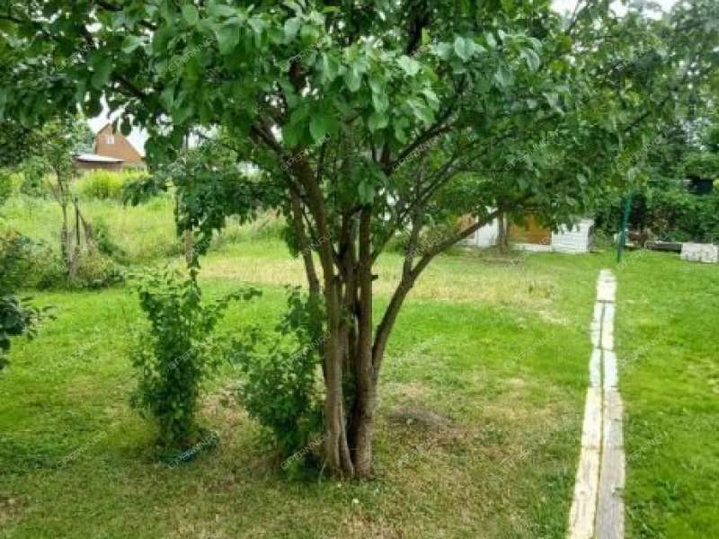 дача на ТСН Стройгаз