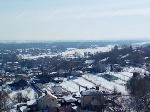 1-komnatnaya-derevnya-afonino-kstovskiy-rayon фото