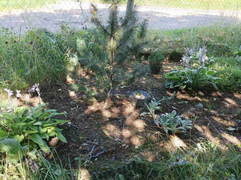 дом на - село Симбилей