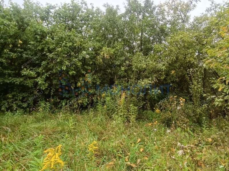 дача на СНТ Кирпичник деревня Афонино