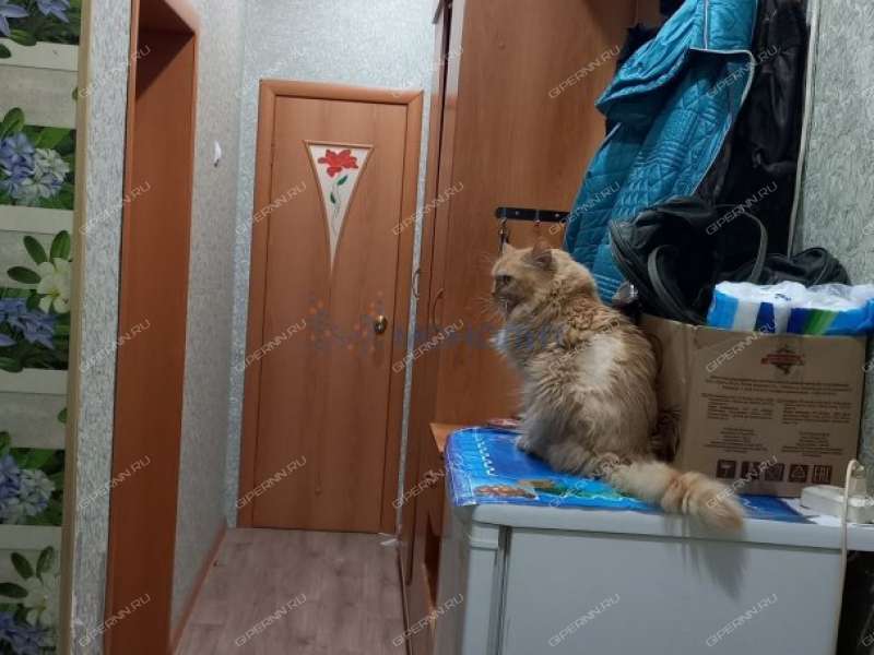 двухкомнатная квартира в Звенигородском переулке дом 3