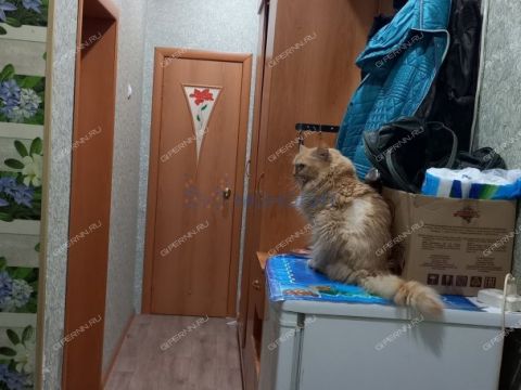 2-komnatnaya-per-zvenigorodskiy-d-3 фото