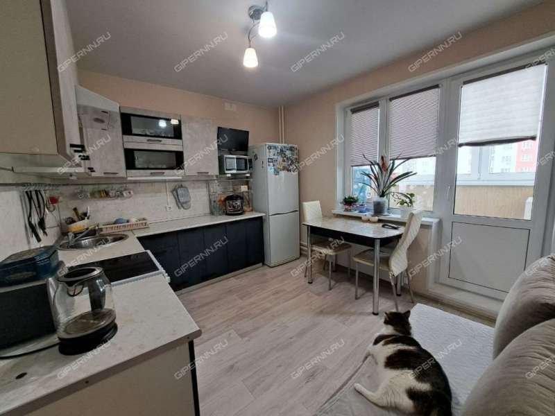 однокомнатная квартира на проспекте Кораблестроителей дом 50  к2