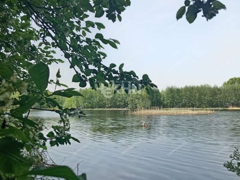 1/2 дома на Дачной улице рабочий посёлок Лукино