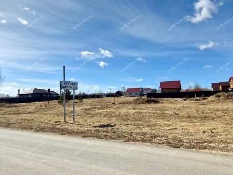 derevnya-krivaya-sheloksha-kstovskiy-rayon фото