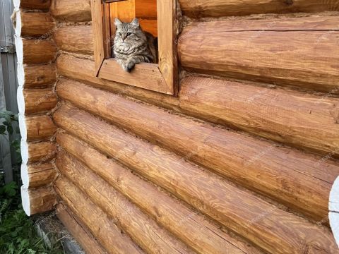 dom-poselok-gnilicy-ul-shushenskaya-d-67 фото