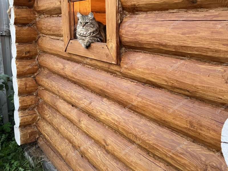 дом на Шушенской улице