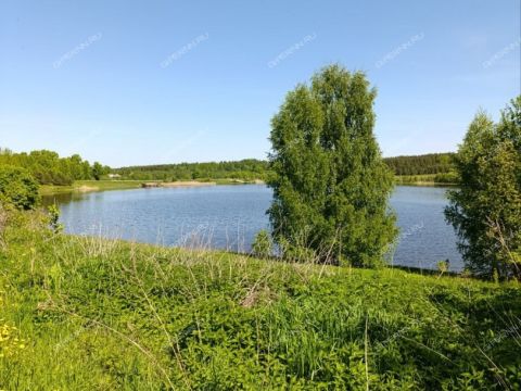 3-komnatnaya-derevnya-bolshaya-svecha-gorodskoy-okrug-shahunya фото
