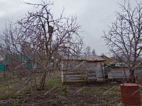 dacha-selo-laksha-bogorodskiy-municipalnyy-okrug фото