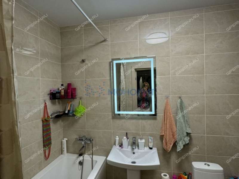 однокомнатная квартира на Русской улице улице дом 19 деревня Анкудиновка