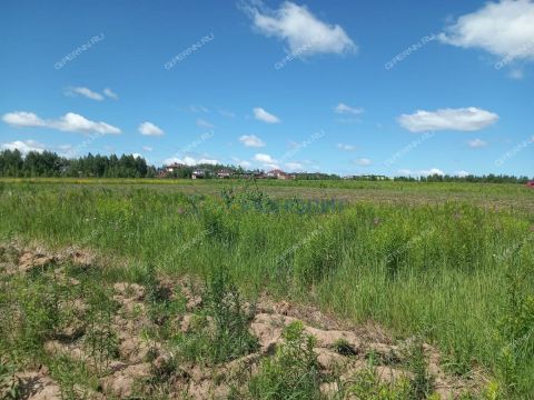 kottedzhnyy-poselok-burcevo-ter-bogorodskiy-municipalnyy-okrug фото