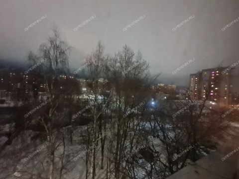 1-komnatnaya-ul-germana-lopatina-d-10 фото