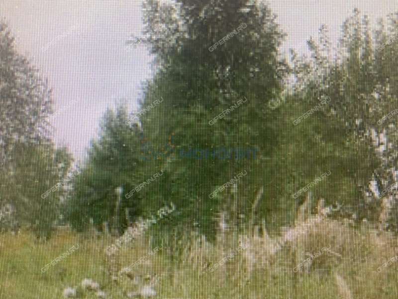 земельный участок 12 соток - Россия-2 (деревня Фроловское) тер. СНТ