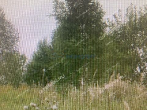 rossiya-2-derevnya-frolovskoe-ter-snt-kstovskiy-rayon фото