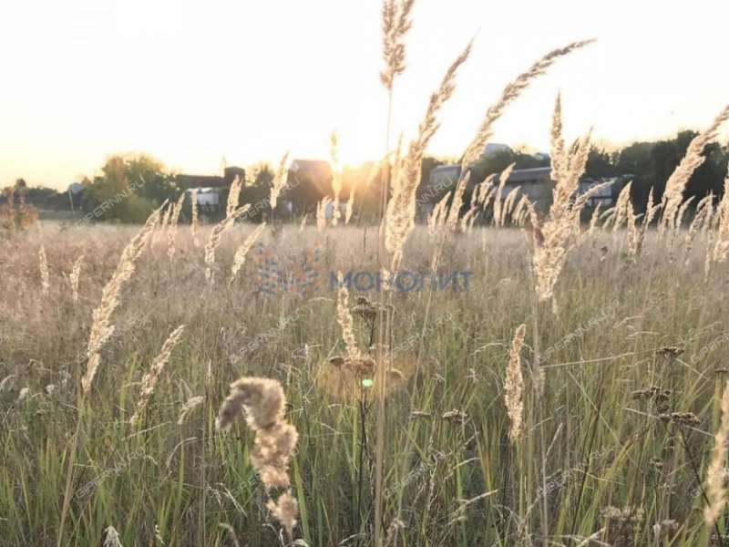 дача на дзержинец Дзержинец тер. СНТ