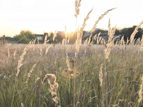 dacha-dzerzhinec-ter-snt-gorodskoy-okrug-dzerzhinsk фото