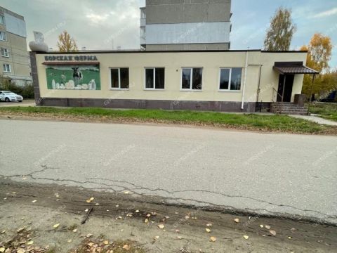 rabochiy-poselok-neklyudovo-gorodskoy-okrug-bor фото