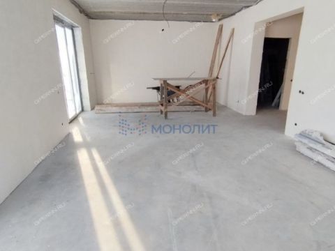 kottedzh-derevnya-berezovka-bogorodskiy-municipalnyy-okrug фото