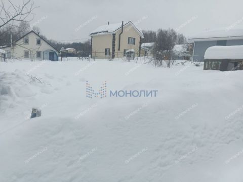 zolotoe-runo-derevnya-ogolihino-ter-snt-gorodskoy-okrug-bor фото