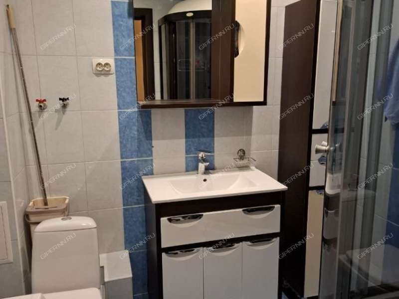 однокомнатная квартира на Школьной улице дом 54 посёлок Ждановский