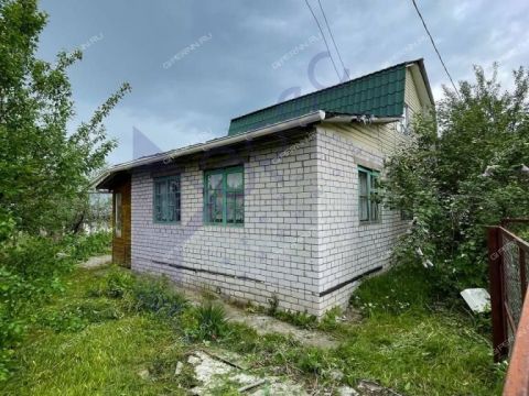 derevnya-aleshino-semenovskiy-gorodskoy-okrug фото