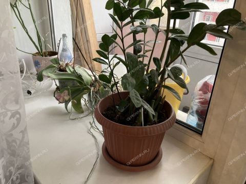 3-komnatnaya-prosp-gagarina-d-56a фото