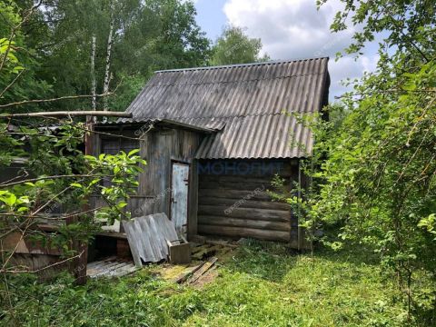 ozernoe-derevnya-orinkino-ter-snt-bogorodskiy-municipalnyy-okrug фото