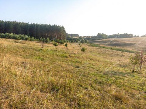 selo-svoboda-vadskiy-municipalnyy-okrug фото