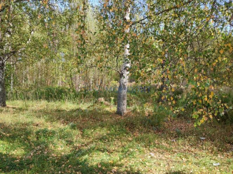 здание под недвижимость под гостиничный бизнес, недвижимость под общепит в деревне Апалихино деревня Апалихино