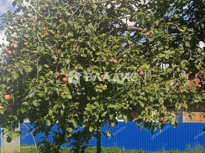 дом на 35 деревня Ткалино