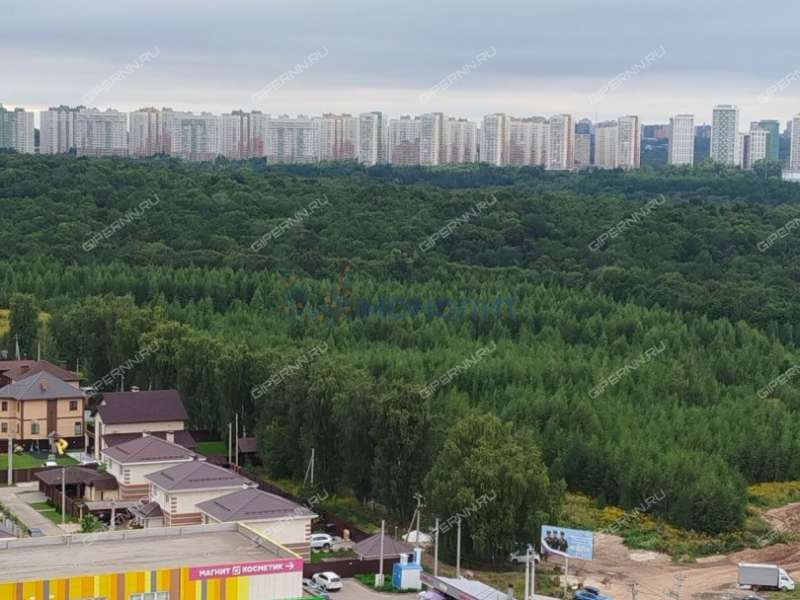 однокомнатная квартира на Русской улице улице дом 4 деревня Анкудиновка