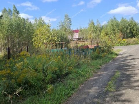 snt-rus-bogorodskiy-municipalnyy-okrug фото