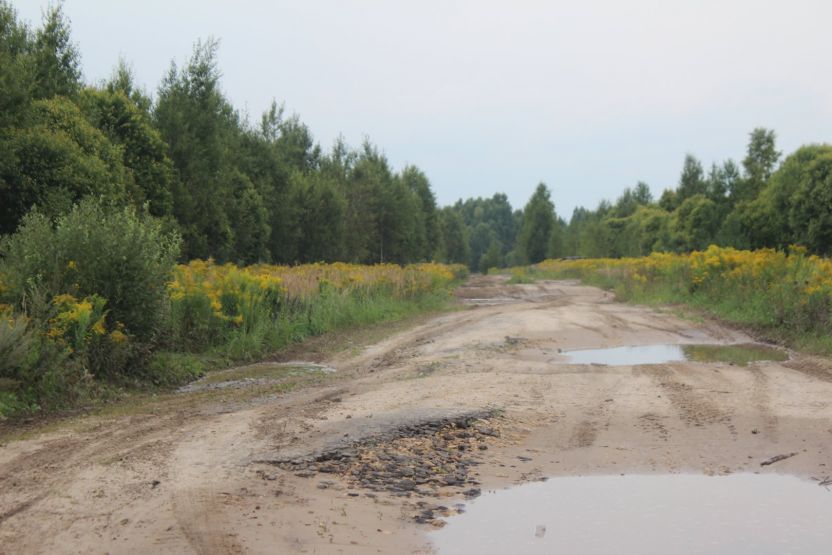 Фото: Ксения Ражева / gipernn.ru