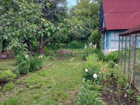 dacha-selo-redkino-gorodskoy-okrug-bor фото