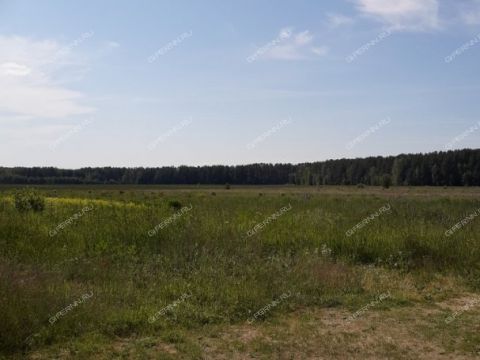 derevnya-zabolotnoe-sokolskiy-gorodskoy-okrug фото